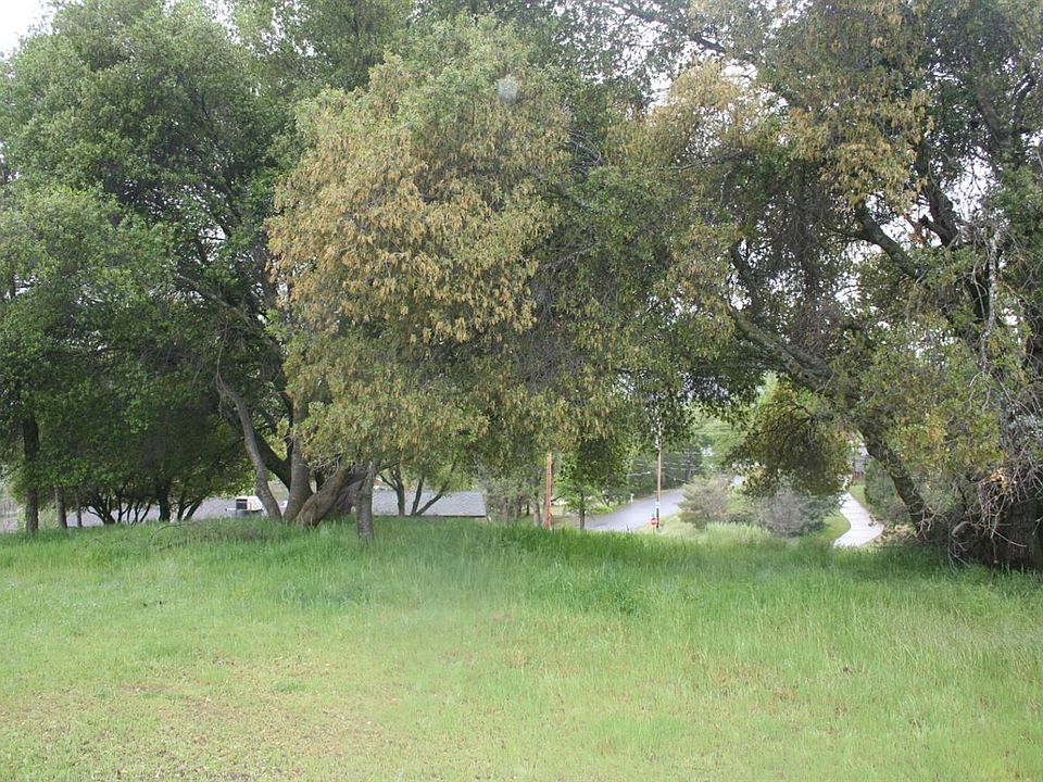 1st image of Live Oak Dr