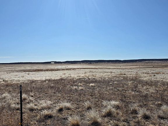 5th image of W Highway 96