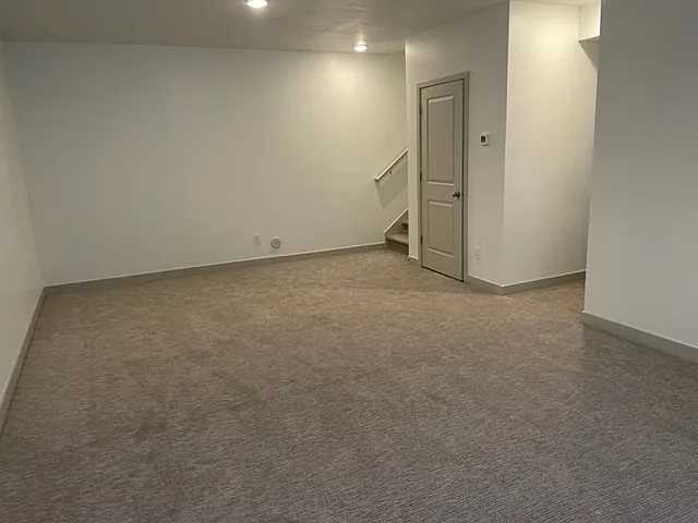 Downstairs Family Room