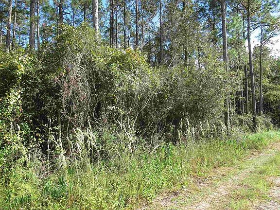 3rd image of 1595 Highway 196
