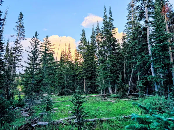 564 Park U Pine Walk, Brian Head, UT 84719