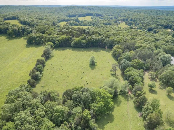 10101 Bequette Rd, Cadet, MO 63630