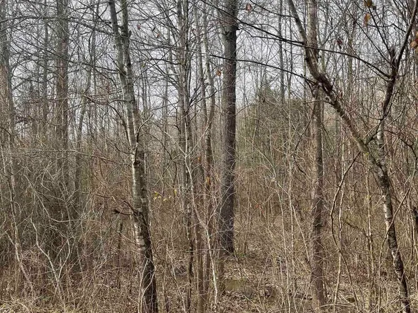 (undisclosed Address), Vilonia, AR 72173