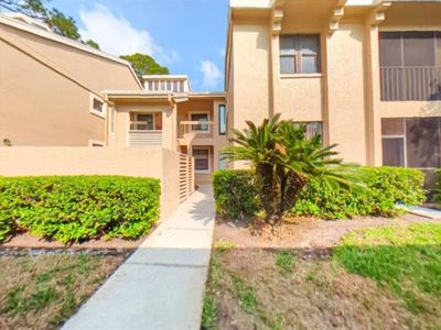 105 Lindsay Ln, Oldsmar, FL, 34677