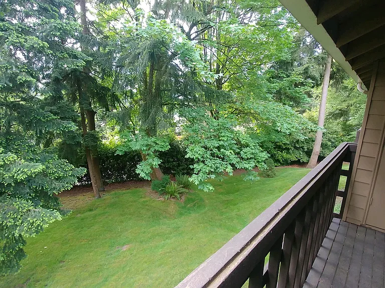 Relaxing Open Green Spaces