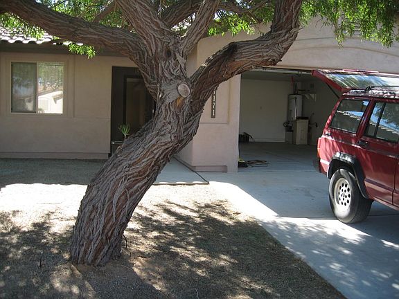 4th image of 11171 E 26th Pl