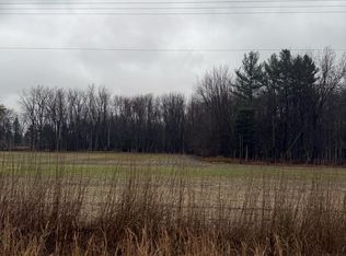 V/l S Sasse Rd, Hemlock, MI 48626