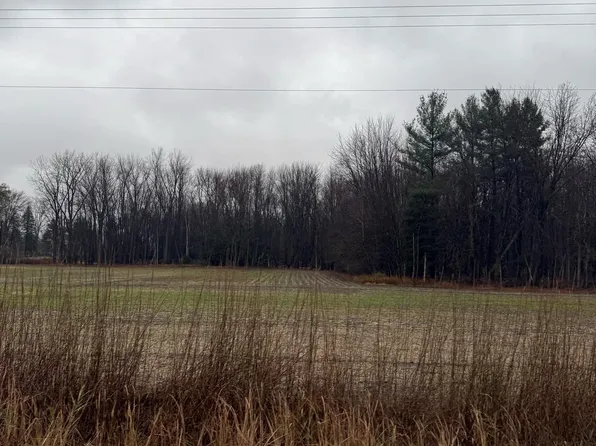 V/l S Sasse Rd, Hemlock, MI 48626