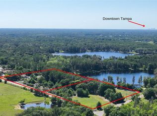 18150 Burrell Rd, Odessa, FL 33556