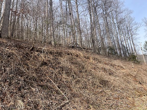 5th image of 0 Laurel Falls Rd Lot 16