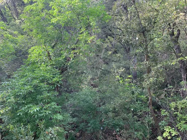 1779 Pennsylvania Gulch Rd, Murphys, CA 95247