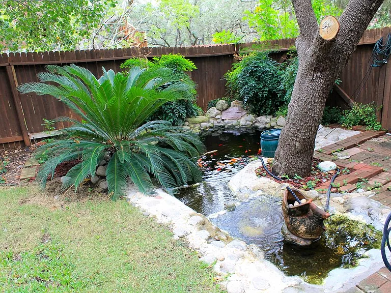 Fish Pond