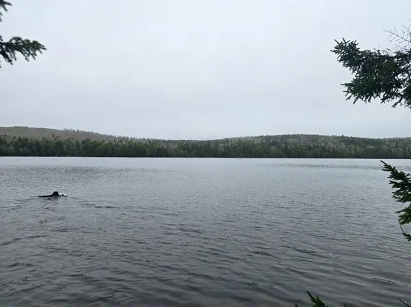 Lot M Howard Lake Road, Robbinston, ME 04671