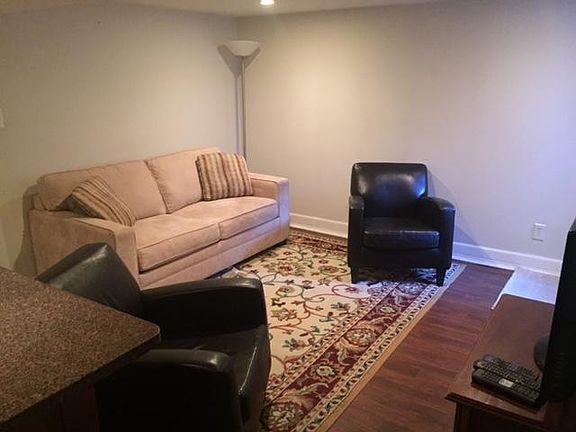 Furniture included if wanted--two leather club chairs and ultrasuede pull-out couch.