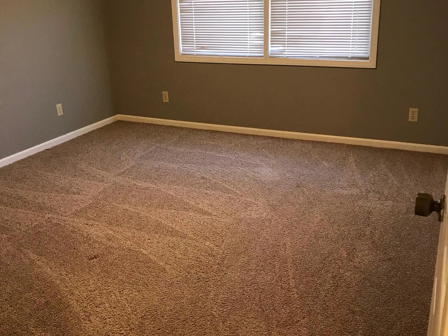 445 Hutchinson Ave — Photo 4