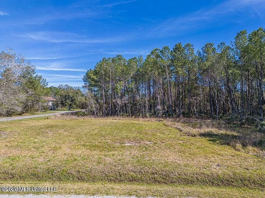 1st image of 0 Chapman Rd