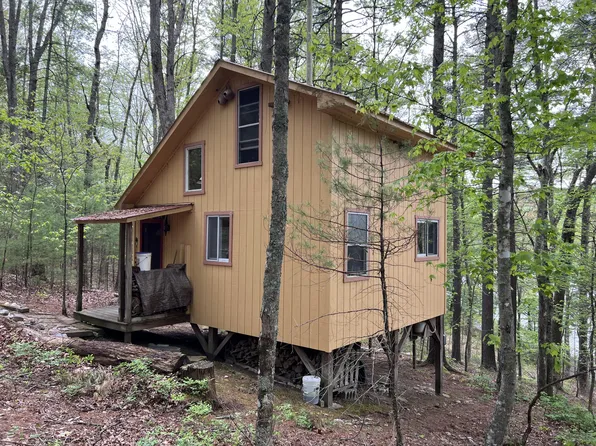 5465 Moncove Lake Rd, Gap Mills, WV 24941