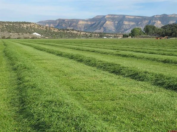 TBD Lot 2 Road G, Cortez, CO 81321