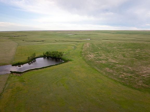 Dji 20260602071206 0006 D Talltines