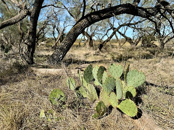 3rd image of 2055 County Road 472