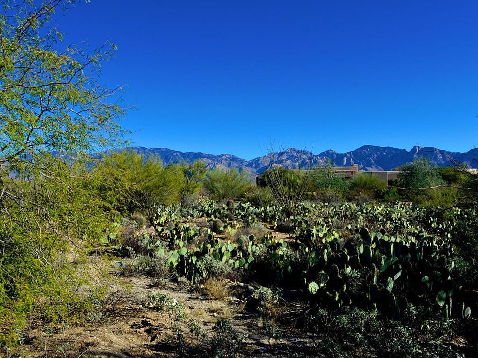 1st image of 14211 N Giant Saguaro Pl