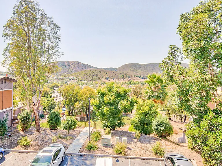 Hillside View