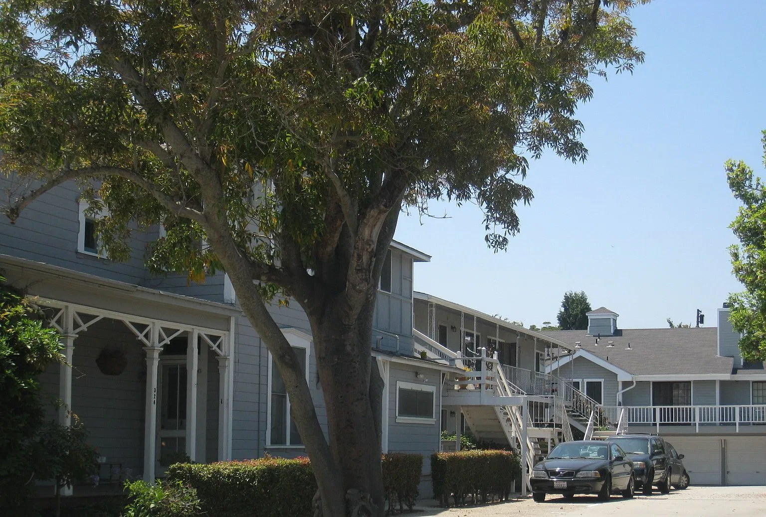2 bed, 800 sqft, $2,950 — Photo 1