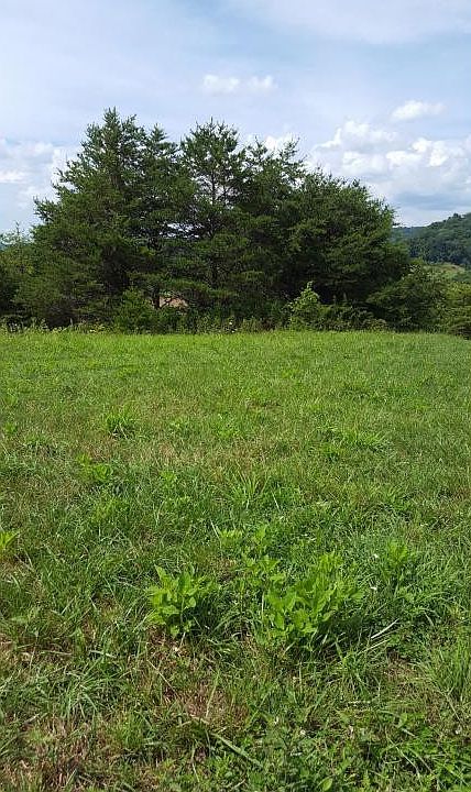 2nd image of LOT 5 Webster Valley Rd