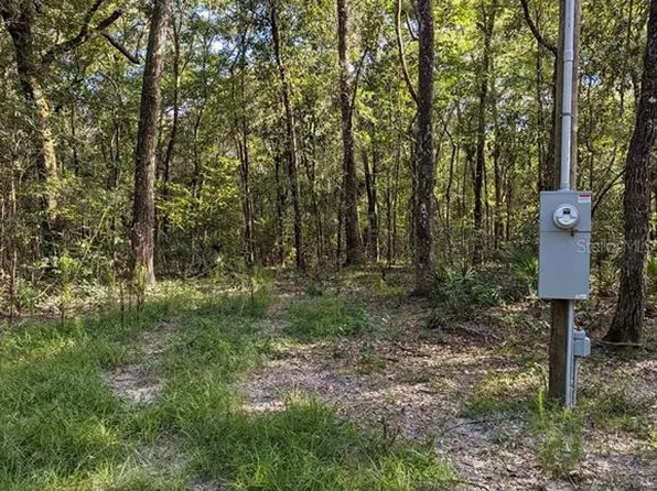 Lots 2 3 & 4 Northwest Ter #82, Bell, FL 32619