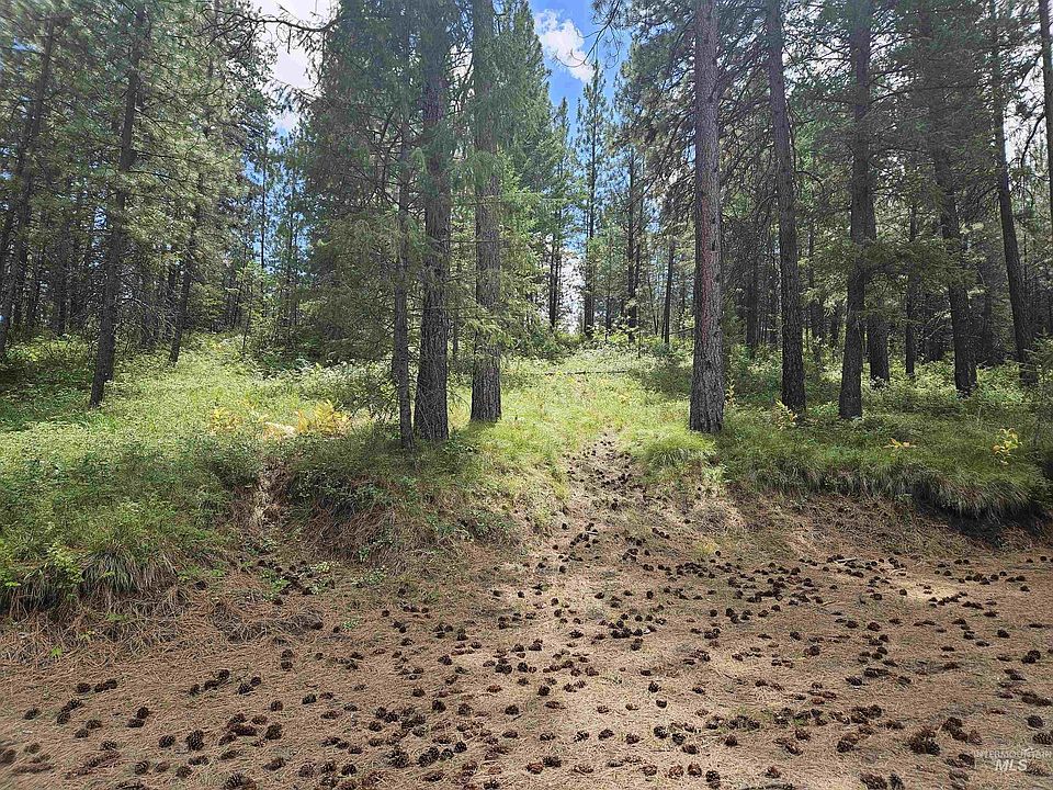 2nd image of Forest Cir
