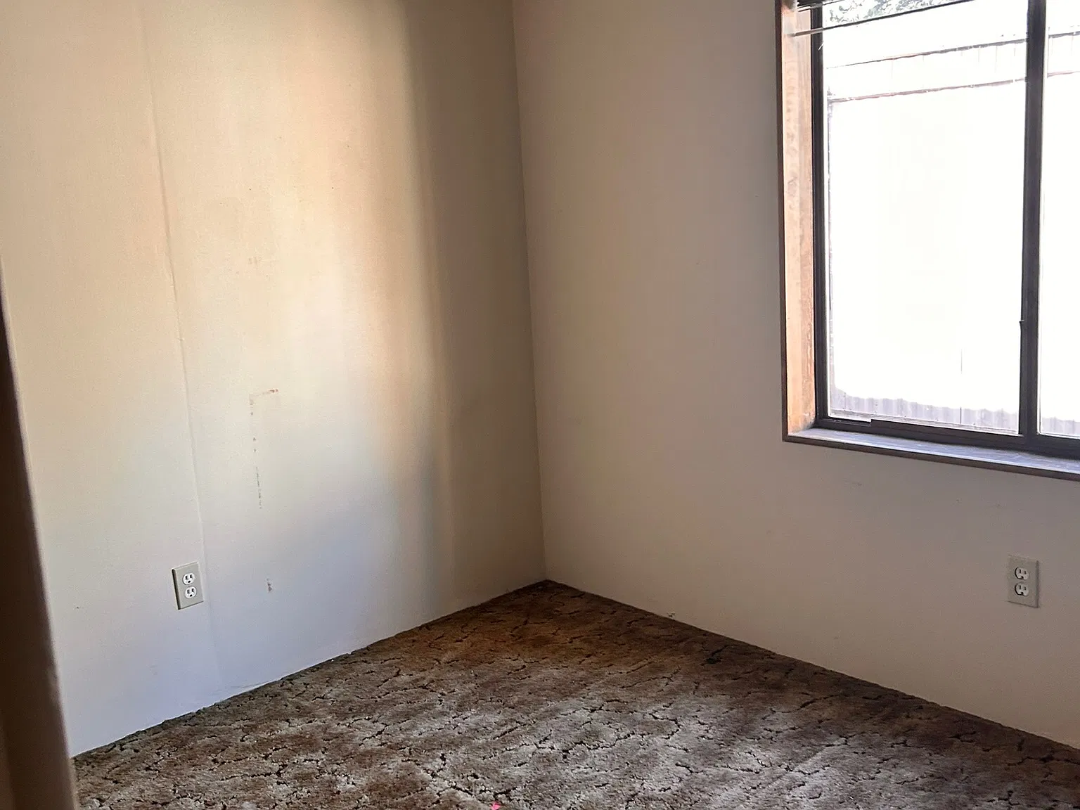 2 bed, $1,350 — Photo 3