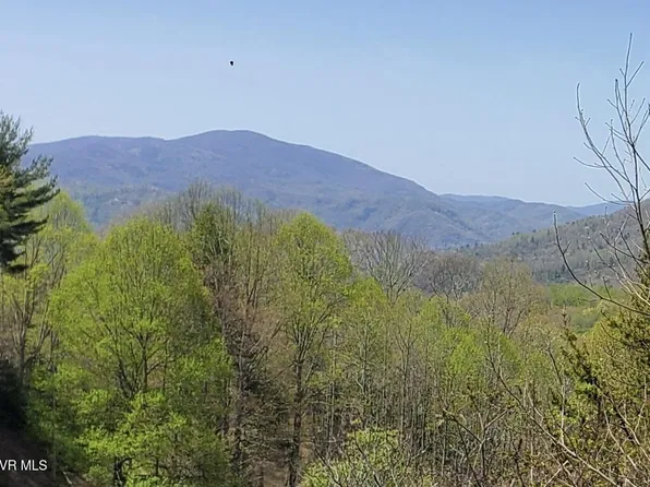 LOT 27 Bluegrass Rd, Roan Mountain, TN 37687