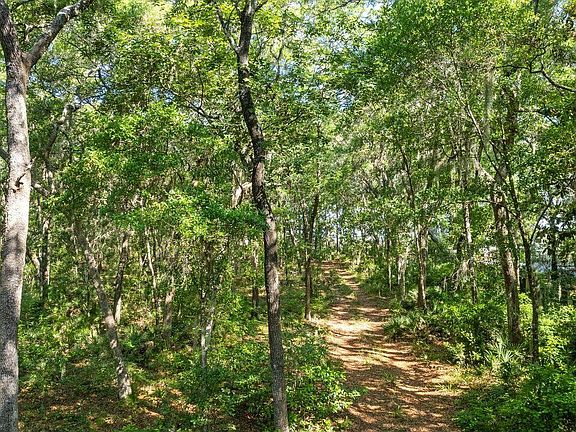 3rd image of 8 Ansley Forest Dr