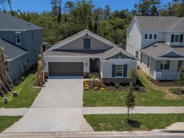 2676 Leafwing Ct, Palm Harbor, FL 34683