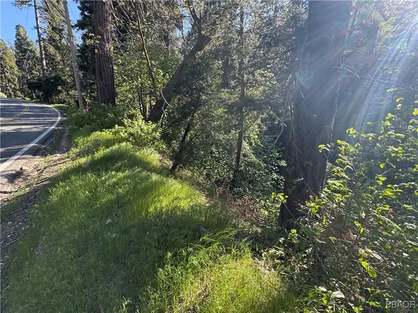 0 Kuffel Canyon Rd, Lake Arrowhead, CA 92352