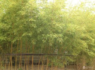 7701 32nd Ave NE, Seattle, WA 98115