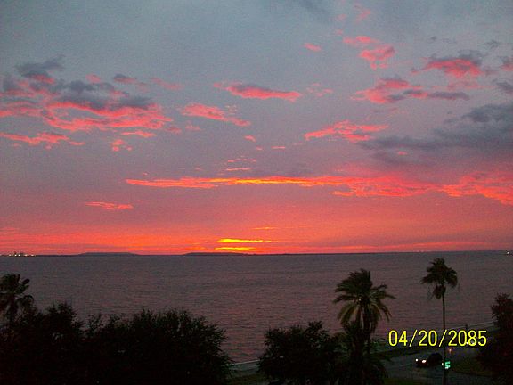 2nd image of 4201 Bayshore Blvd Unit 502