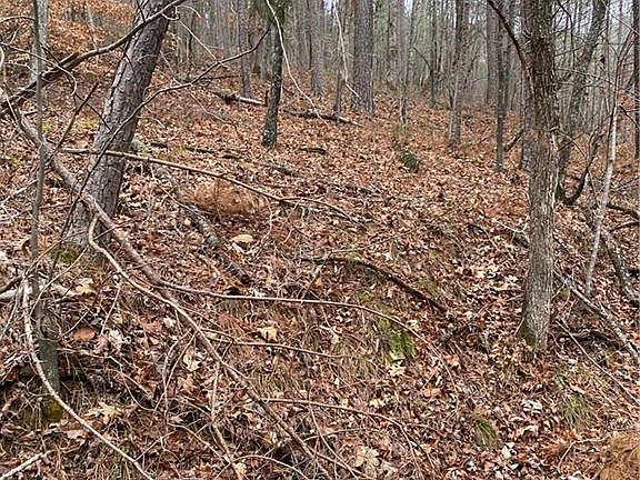 3rd image of 529 Debord Dr Lot 0