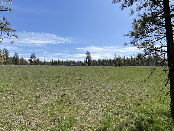 4th image of Leaning Pine Ln #6