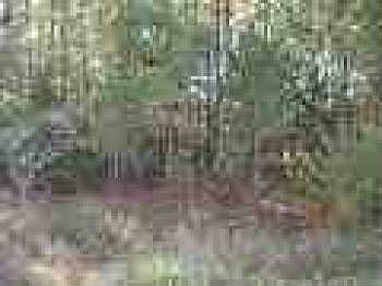 2nd image of 106 Minitree Ln