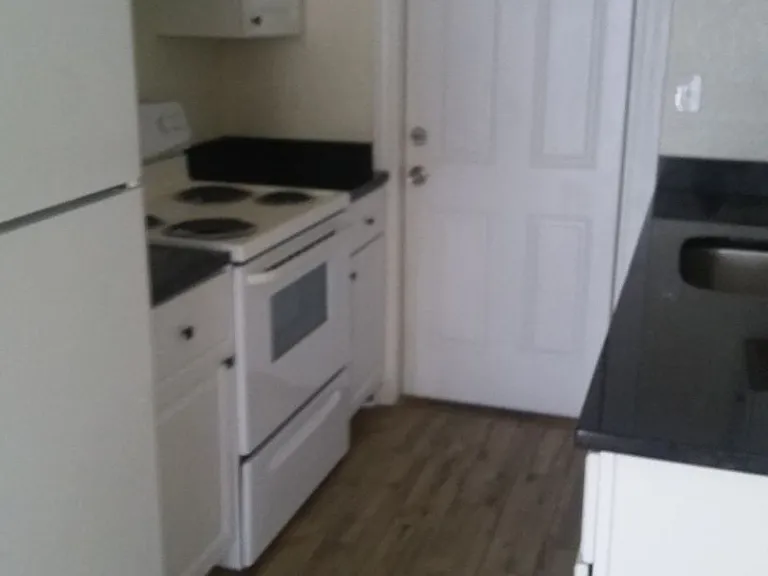 1710 S Washington Ave #16 — Photo 4