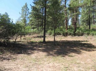 135 Evergreen Dr, Pagosa Springs, CO 81147