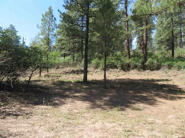 135 Evergreen Drive, Pagosa Springs, CO 81147