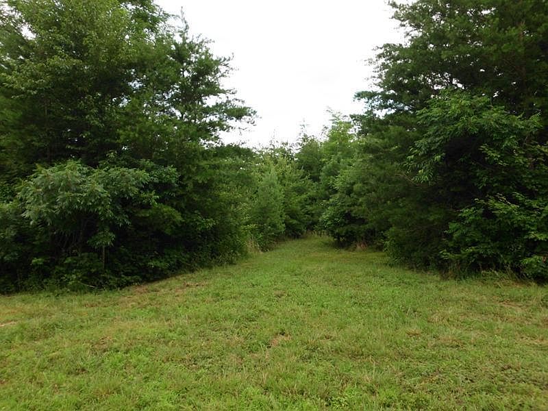 1st image of Ben Ellis Tr Lot 3