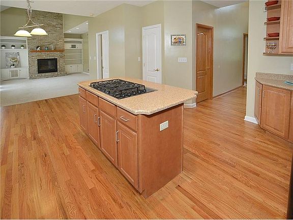 5th image of 319 Newbury Dr