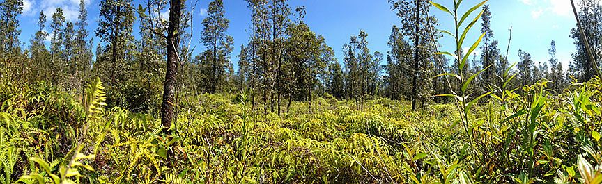 Panorama View of lot 3563