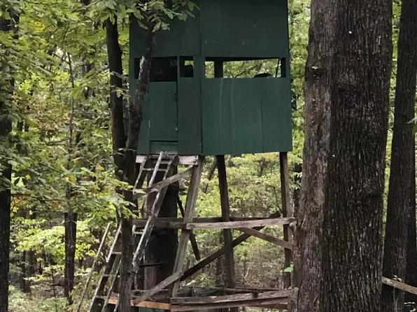 51-52 Buck Ridge Ln, Williford, AR 72482