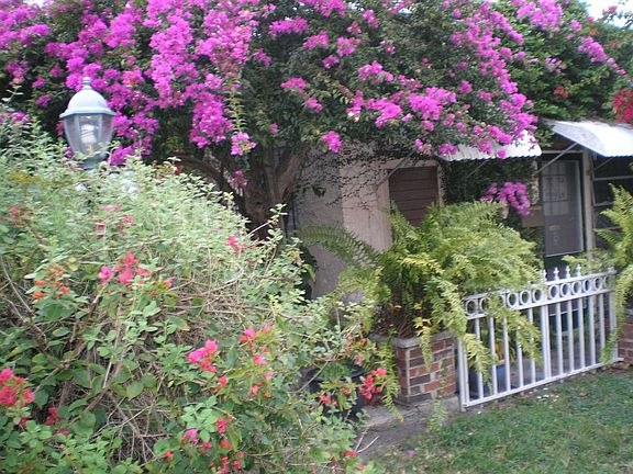 Adorable Income Cottage