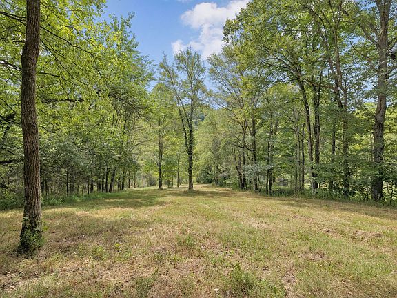 2nd image of 0 Funn Branch Rd