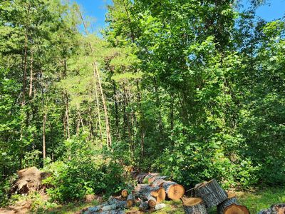 0 Foothills Dr, Blue Ridge, GA, 30513